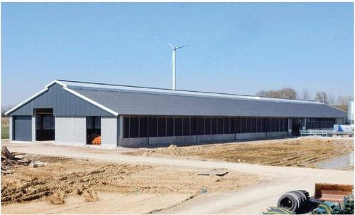 Laatste bedrijfscasus over Steel Structure veestapel