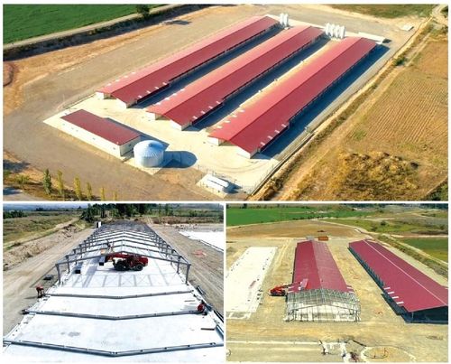 Laatste bedrijfscasus over Drie nieuwe broilershuizen in de derde fase van de bouw van mesthallen voor broilerkippen, met een capaciteit van ongeveer 147000 broilers.