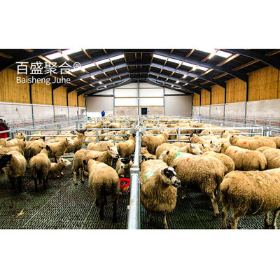 Metalen bouwwerk staalstructuur op maat voor vee-koeienstal / schapenstal / varkenshuis