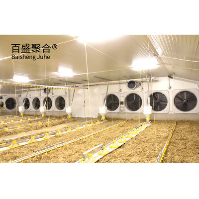 Multi-floor Grote Chicken Coop Shed Farm House Warehouse met Aluminium Alloy Venster