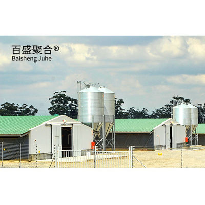 Multi-floor Grote Chicken Coop Shed Farm House Warehouse met Aluminium Alloy Venster