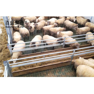 Voorgefabriceerde korven voor runderen, paarden, geiten en schapen