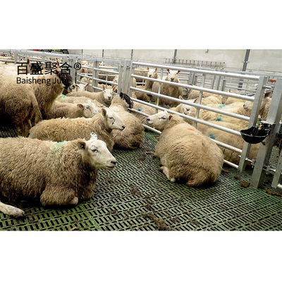 Schuifdeur en roldeurontwerp Q345 Metalen frame Geit/schapenhuis voor koeien-/veehouderij
