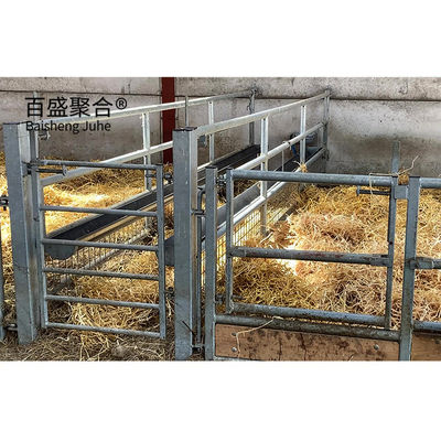 Q345 Staalconstructie Metalen prefab gebouw voor de bouw van schapen- en geitenboerderijen