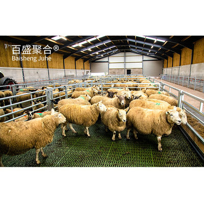 ISO9001 2008/CE/BV Gecertificeerd Hot Dip Galvanized Prefabricated Steel Structure Veehouderijgebouw voor varkens, koeien en schapen