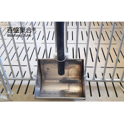 High Tolerance Pig Farrowing Crates voor gecustomiseerde landbouwveehouderij