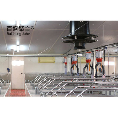 High Tolerance Pig Farrowing Crates voor gecustomiseerde landbouwveehouderij