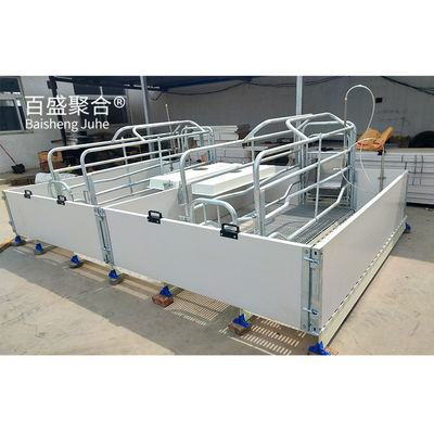 High Tolerance Pig Farrowing Crates voor gecustomiseerde landbouwveehouderij