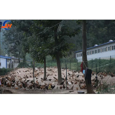 Modern ontwerp kippenhok voor pluimveehouderij Huis Staalstructuur Schuur Boerderij
