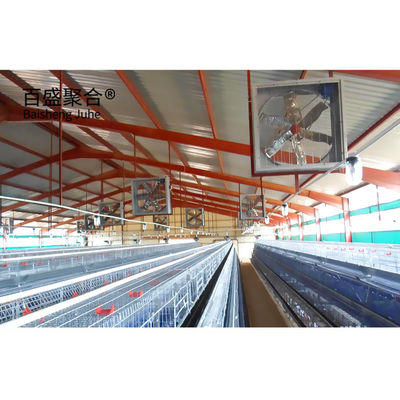 Grote capaciteit geprefabriceerd broiler pluimveehouderij gebouw met sandwich paneel dak