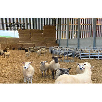 Geïsoleerde boerderijgebouwen voor schuren voor geiten en schapen met certificaat ISO9001 2008/CE/BV