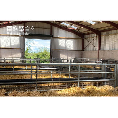 Staalhouderij Prefab staalstructuur Geitenboerderij Schapenbescherming Schuur Huis met H-balken