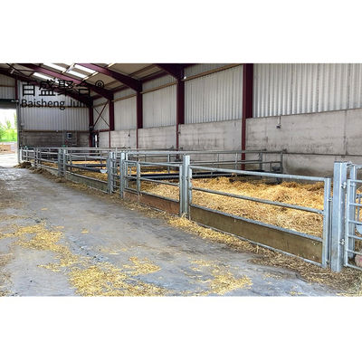 Aluminium Alloy Venster Metalen Geitenboerderij Schuur Ontwerp Stalen Structuur Schaaphuis Schuilplaats PKPM Tekening