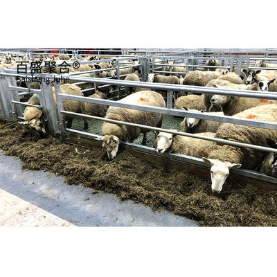 Hot Dip Galvanised Prefabricated Sheep Shed Gebouw voor het weerstaan van hard weer