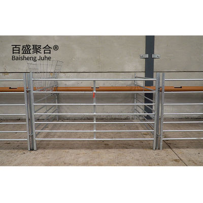 Hot Dip Galvanized Prefab Steel Cattle Barn Koeien Boerderij Schapenstal met en efficiëntie