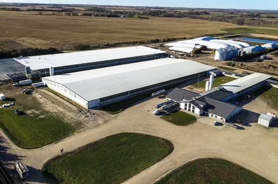 Vaste H-vormige staalbalk Hoofdframe Geverfde fabriek Q235B Voorgefabriceerde metalen werkplaatsen