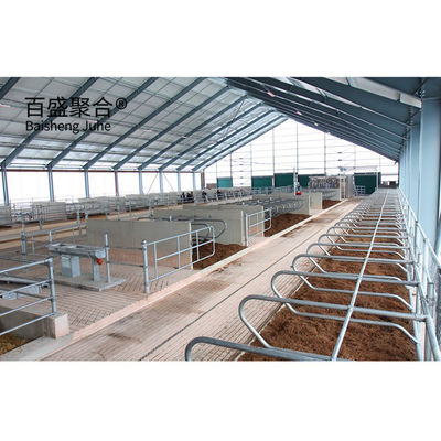 Aangepaste kleuren Metalen frame Stalen structuur Koeien Koeienboerderij Huis Prefab Koeienstal Standard ASTM