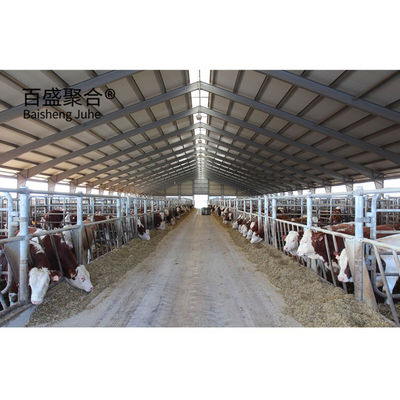 Makkelijke installatie Prefab Cow Shed met aangepaste kleuren en C.Z-vorm staalkanaal