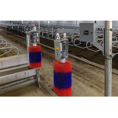 Makkelijke installatie Prefab Cow Shed met aangepaste kleuren en C.Z-vorm staalkanaal