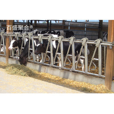 Makkelijke installatie Prefab Cow Shed met aangepaste kleuren en C.Z-vorm staalkanaal