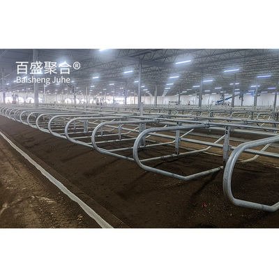 Makkelijke installatie Prefab Cow Shed met aangepaste kleuren en C.Z-vorm staalkanaal