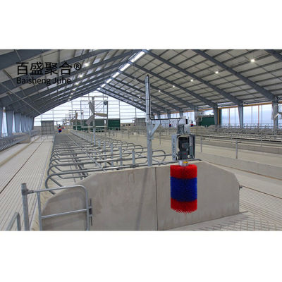 Kooienhok met lichtstaalstructuur en ISO9001 2008/CE/BV-gecertificeerd