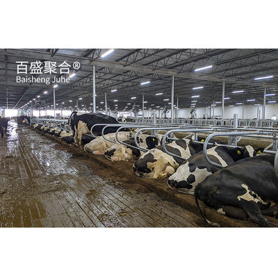 Direct Supply Steel Structure Livestock Shed voor koe in Prefabricated Design