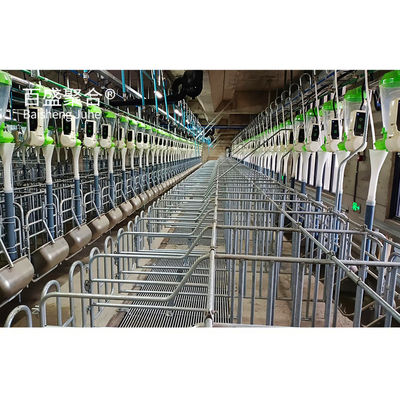 Prefabricated Steel Structure Roof Truss Barn Shed voor Hog Barn en Pig Farm Direct