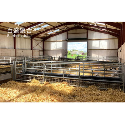 ASTM-standaard lichtstaal structuur geitenhuis ontworpen prefab boerderij schapen geiten staal schuur huis