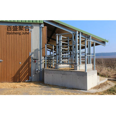 Staalconstructie Kooienstal Melkveehouderij Varkens-/schapen-/geitenboerderij Huis Koeienstal met aluminiumloogvenster