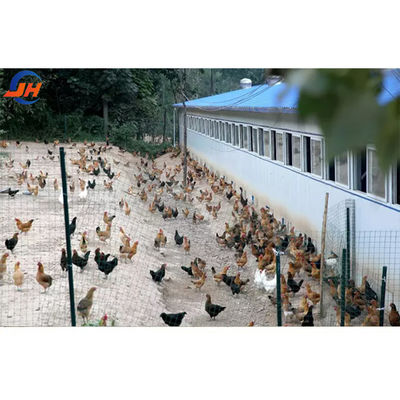ISO9001 2008/CE/BV gecertificeerde moderne pluimveehouderij Lichte staalstructuur Kippenhuis