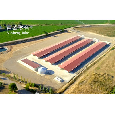 Vleesveehouderij Broiler Cage System met MTS tekenontwerp en staalkwaliteit