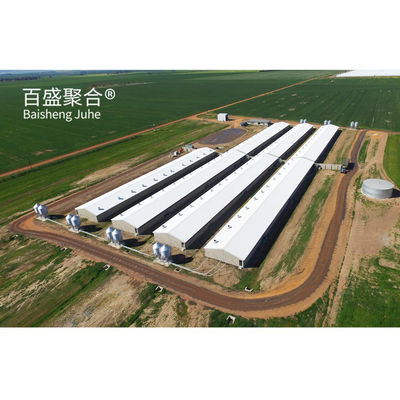 Hot Dip Galvanized/Paint Spraying Steel Prefab Piggery House Design voor pluimveebedrijven