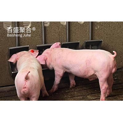 Hot Dip Galvanized/Paint Spraying Steel Prefab Piggery House Design voor pluimveebedrijven