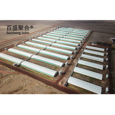 Hot Dip Galvanized/Paint Spraying Steel Prefab Piggery House Design voor pluimveebedrijven