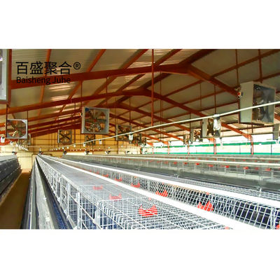 Gegalvaniseerde A-type kippenkooien laag pluimvee met ISO9001 2008/CE/BV-certificering