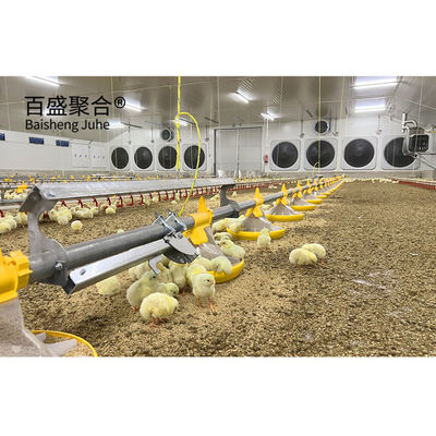 Gegalvaniseerde A-type kippenkooien laag pluimvee met ISO9001 2008/CE/BV-certificering