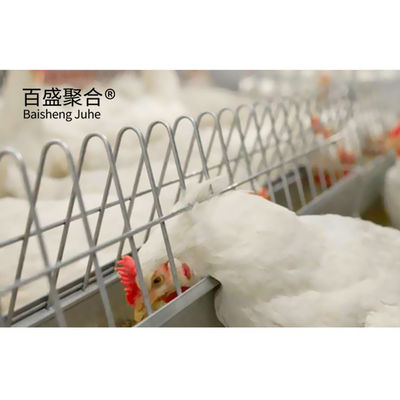 Lichte staal frame broiler pluimvee schuur met sandwich paneel dak en aangepaste kleuren