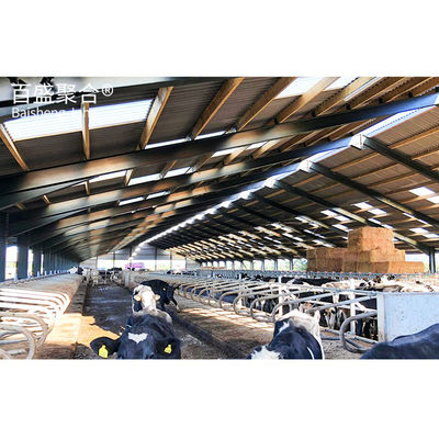 Snijdservice Q235 laagkoolstofstaal mobiele boerderijschuur voor kippenvarken geitenkoei