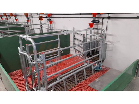 Huisje Huisje Vogelhouderij Ontwerp met industrieel gebouw en C.Z. Shape Steel Channel