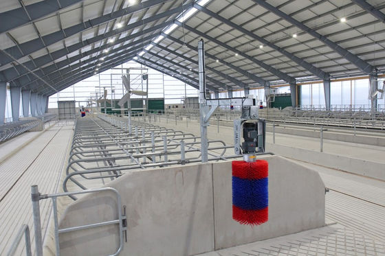 Snijdservice Voorafgebouwde staalconstructies voor paardenstabiele constructies