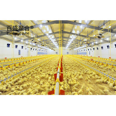 ISO9001 2008/CE/BV gecertificeerde staalbouwhuis voor veehouderij en pluimveehouderij