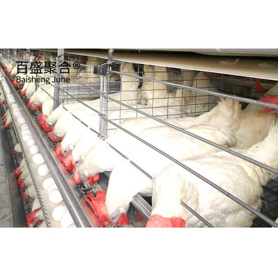 ISO9001 2008/CE/BV gecertificeerde staalbouwhuis voor veehouderij en pluimveehouderij