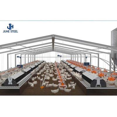 Geprefabriceerde kippenboerderijen, met op maat gemaakte kleuren, van staal, voor economische doeleinden