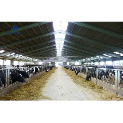 Solid H-vormig staalbalk hoofdframe voor prefab staal varkenshuis en veeschuren