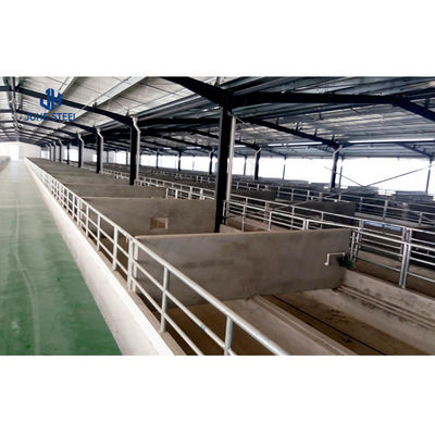 Plastic bedekte ronde buis Hoofdframe Prefab veehuis voor runderen paarden schapen