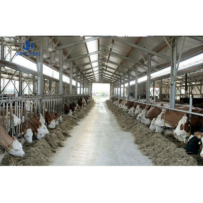 Gepersonaliseerde kleur Lichte staalstructuur Geitenboerderij Huis Schaapstal Runderboerderij Koeienstal Constructie
