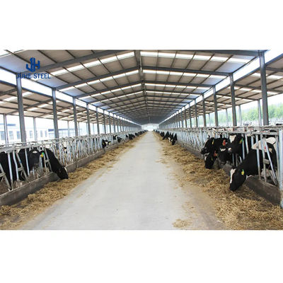 Moderne geitenstal geprefabriceerde staalconstructie koeienstal boerderij met lasdienst