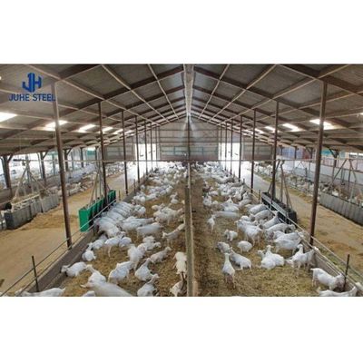 Q235/Q355B Staalstructuur Koeienstal voor veehouderij