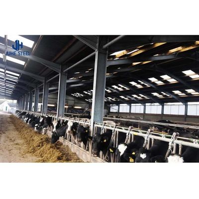 Q235/Q355B Staalstructuur Koeienstal voor veehouderij